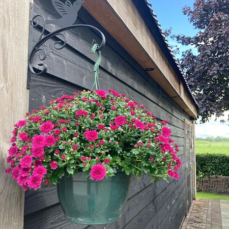De Barg Villa Vinkenbuurt Eksteriør bilde