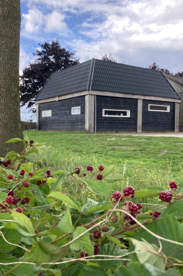 De Barg Villa Vinkenbuurt Eksteriør bilde